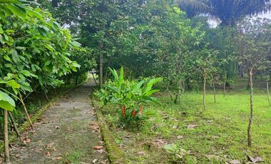 Venta Finca en Bucay Hacienda San Rafael - Rancho - F31