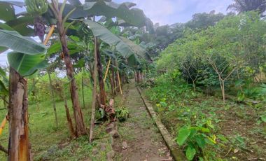 Venta Finca en Bucay Hacienda San Rafael - Rancho - F31