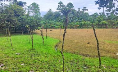 Venta Finca en Bucay Hacienda San Rafael - Rancho - F31