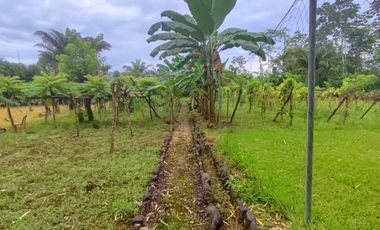Venta Finca en Bucay Hacienda San Rafael - Rancho - F31