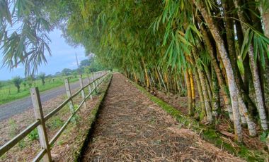 Venta Finca en Bucay Hacienda San Rafael - Rancho - F31