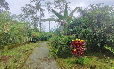 Venta Finca en Bucay Hacienda San Rafael - Rancho - F31