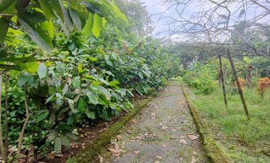 Venta Finca en Bucay Hacienda San Rafael - Rancho - F31