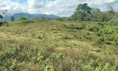 10 Hectares Farm Land, FOR SALE, Batong Buhay, Sablayan, Occidental Mindoro