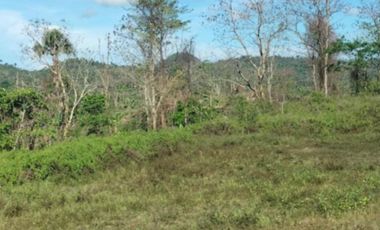 10 Hectares Farm Land, FOR SALE, Batong Buhay, Sablayan, Occidental Mindoro