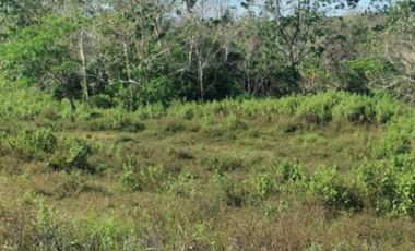 10 Hectares Farm Land, FOR SALE, Batong Buhay, Sablayan, Occidental Mindoro