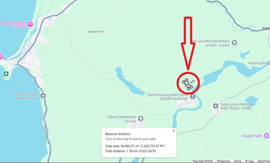 10 Hectares Farm Land, FOR SALE, Batong Buhay, Sablayan, Occidental Mindoro