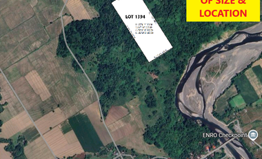 10 Hectares Farm Land, FOR SALE, Batong Buhay, Sablayan, Occidental Mindoro