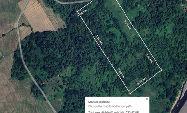 10 Hectares Farm Land, FOR SALE, Batong Buhay, Sablayan, Occidental Mindoro