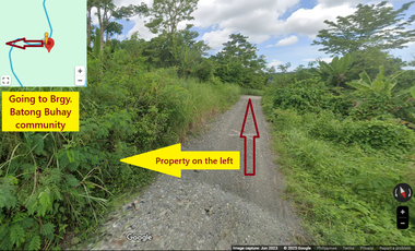 10 Hectares Farm Land, FOR SALE, Batong Buhay, Sablayan, Occidental Mindoro