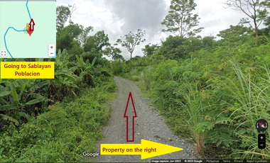 10 Hectares Farm Land, FOR SALE, Batong Buhay, Sablayan, Occidental Mindoro