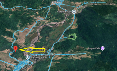 10 Hectares Farm Land, FOR SALE, Batong Buhay, Sablayan, Occidental Mindoro