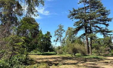 San Felipe – Venta Lotes Sector Hacienda Quilpué