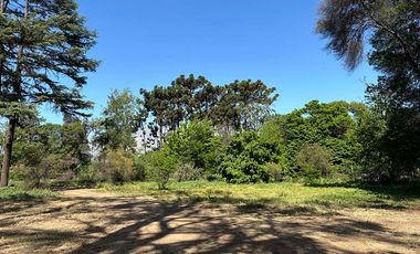San Felipe – Venta Lotes Sector Hacienda Quilpué