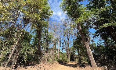 San Felipe – Venta Lotes Sector Hacienda Quilpué