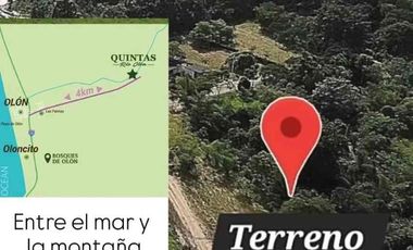 TERRENO EN VENTA EN OLON