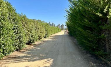 Parcela en Melipilla! con 2 Casas de 357 m2 más terreno de 5.000 m2. Condominio Las Flores.