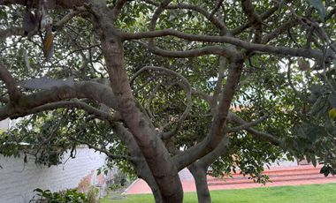 Renta Casa en La Pampa, Pomasqui