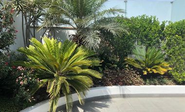 Venta Departamento Duplex en Chacarilla San Borja 420M2