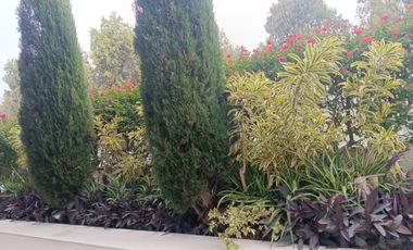 Venta Departamento Duplex en Chacarilla San Borja 420M2