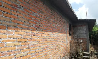 Casa en El Organal, San Juan del Río con árboles frutales.