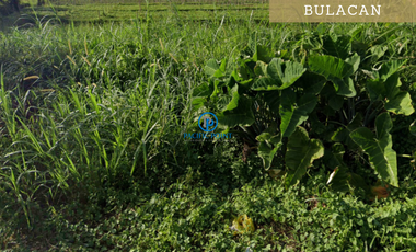 21,047 sqm Vacant Lot for Sale in San Il defonso, Bulacan