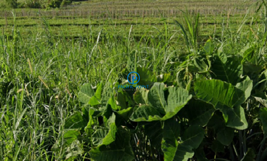 21,047 sqm Vacant Lot for Sale in San Il defonso, Bulacan