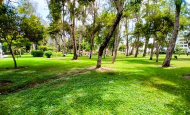 🏡 AMPLIO DEPARTAMENTO EN SAN ISIDRO CON TERRAZA PRIVADA Y VISTA AL PARQUE BUSTAMANTE