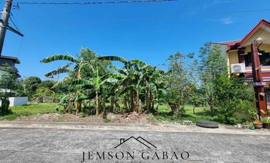 222 sqm Lot for Sale at ₱12,500/sqm in Metro Gate Dasma