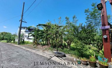 222 sqm Lot for Sale at ₱12,500/sqm in Metro Gate Dasma