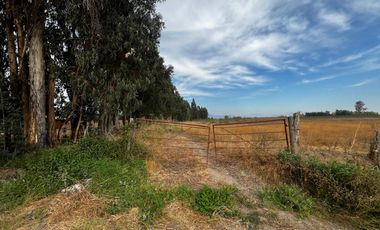 Se venden parcelas de 5.000m2 camino a La Obra desde 1.500UF, Los Niches, Curicó