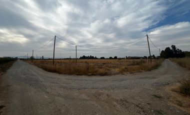 Se venden parcelas de 5.000m2 camino a La Obra desde 1.500UF, Los Niches, Curicó
