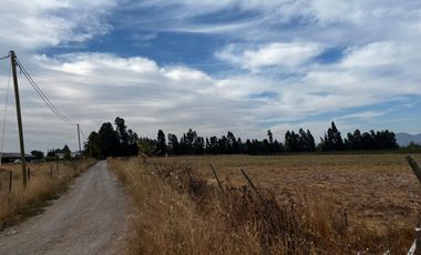 Se venden parcelas de 5.000m2 camino a La Obra desde 1.500UF, Los Niches, Curicó