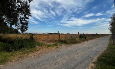 Se venden parcelas de 5.000m2 camino a La Obra desde 1.500UF, Los Niches, Curicó