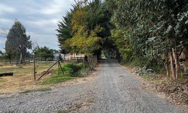 Se venden parcelas de 5.000m2 camino a La Obra desde 1.500UF, Los Niches, Curicó