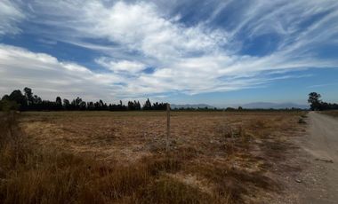 Se venden parcelas de 5.000m2 camino a La Obra desde 1.500UF, Los Niches, Curicó