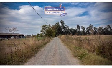 Se venden parcelas de 5.000m2 camino a La Obra desde 1.500UF, Los Niches, Curicó