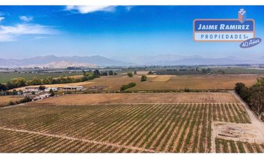 Se venden parcelas de 5.000m2 camino a La Obra desde 1.500UF, Los Niches, Curicó