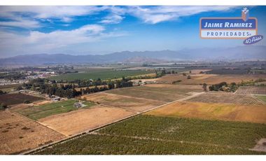 Se venden parcelas de 5.000m2 camino a La Obra desde 1.500UF, Los Niches, Curicó