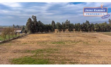 Se venden parcelas de 5.000m2 camino a La Obra desde 1.500UF, Los Niches, Curicó