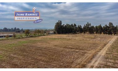 Se venden parcelas de 5.000m2 camino a La Obra desde 1.500UF, Los Niches, Curicó