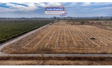 Se venden parcelas de 5.000m2 camino a La Obra desde 1.500UF, Los Niches, Curicó