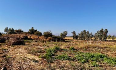 Se venden parcelas de 5.000m2 en La Montaña de Teno, Provincia de Curicó