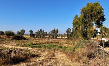 Se venden parcelas de 5.000m2 en La Montaña de Teno, Provincia de Curicó