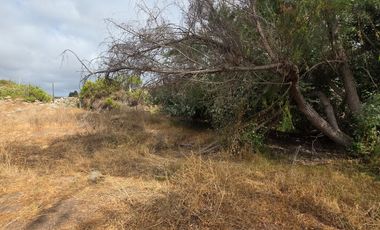 Gran terreno comercial en Coquimbo