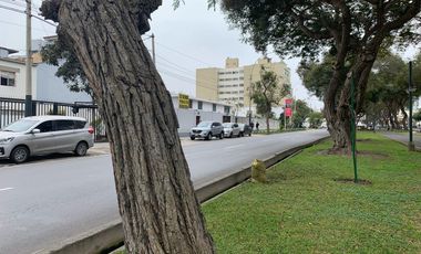 Excelente Local Comercial *650 M²* 8 cocheras - Av Salaverry