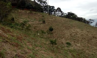 Venta gran Lote, La cruz, Copacabana Antioquia.