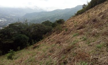 Venta gran Lote, La cruz, Copacabana Antioquia.