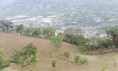 Venta gran Lote, La cruz, Copacabana Antioquia.