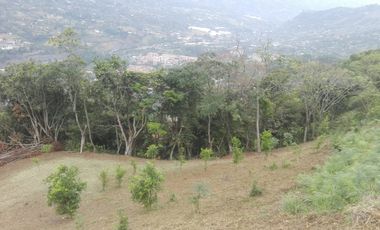 Venta gran Lote, La cruz, Copacabana Antioquia.